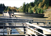 Wastewater Management